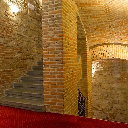 Rous Plzeň