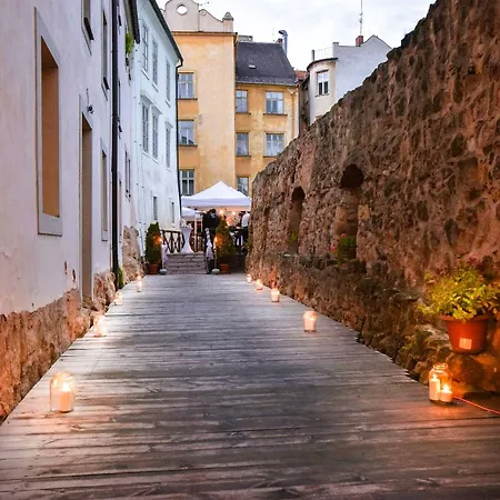 Rous Plzeň